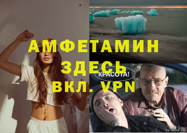 гидра Алексеевка
