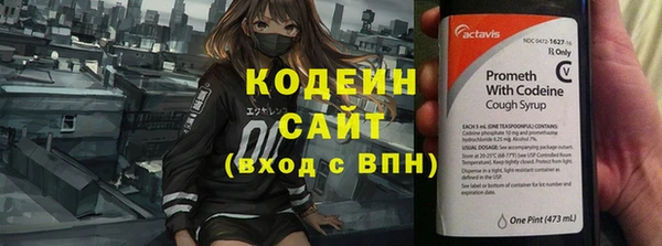 соль ск Абаза