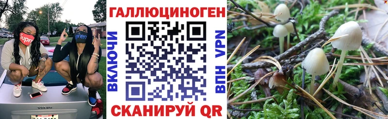 Псилоцибиновые грибы Psilocybine cubensis  ОМГ ОМГ сайт  Тимашёвск  как найти закладки 